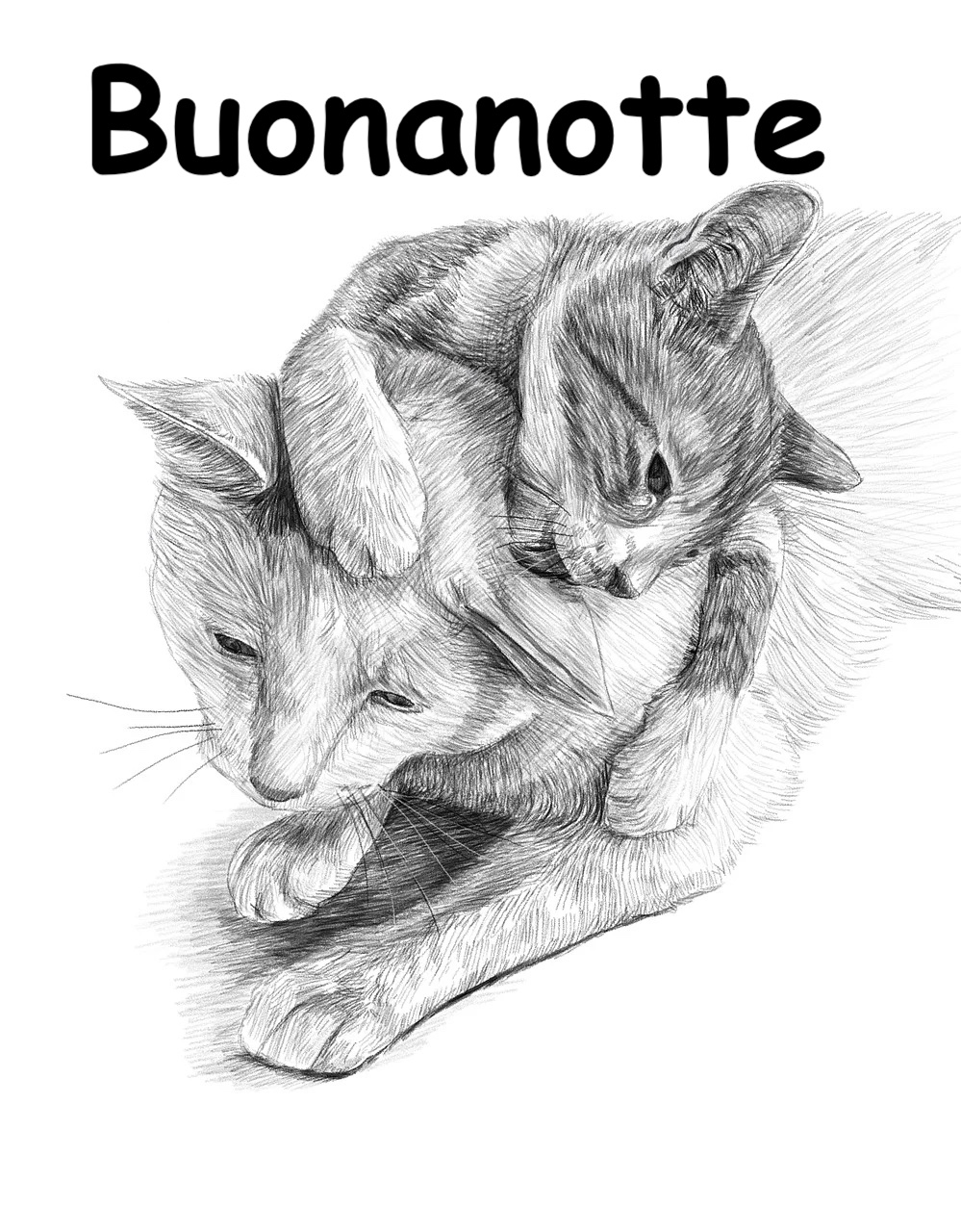 un disegno in carbonicino in bianco e nero con due gatti 